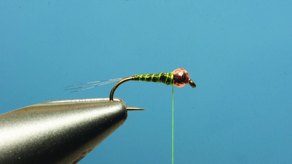 Step 3 tying instructions for the Pliva Perdigon Nymph