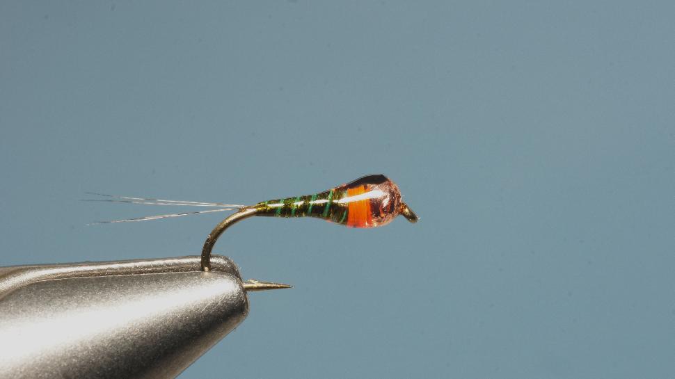 Step 6 tying instructions for the Pliva Perdigon Nymph