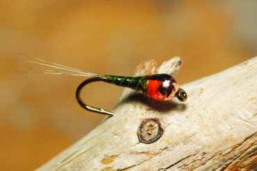 The Pliva Perdigon Nymph