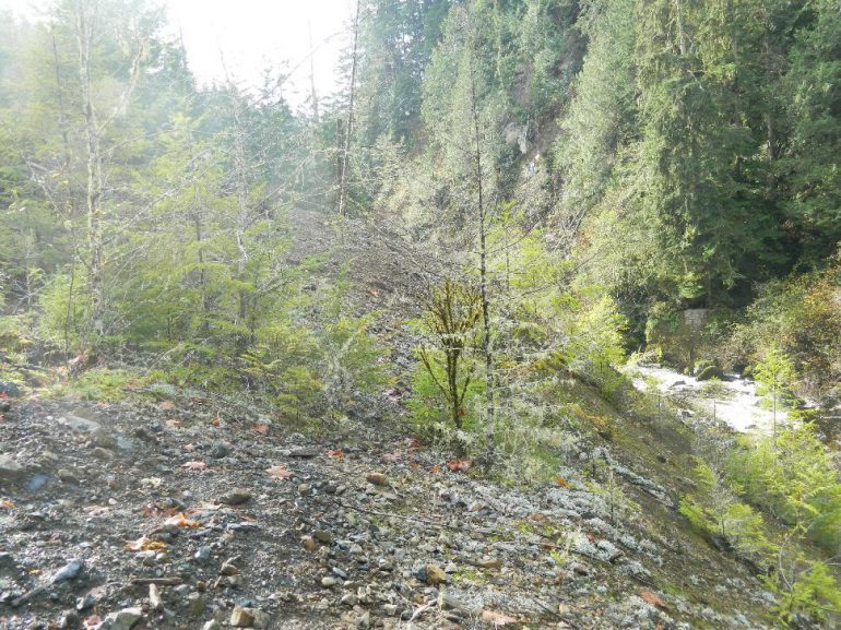 Jordan River Restoration • BC Outdoors Magazine