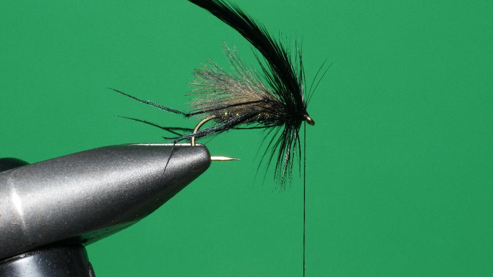 Step 6 tying instructions for the Bristol Hopper