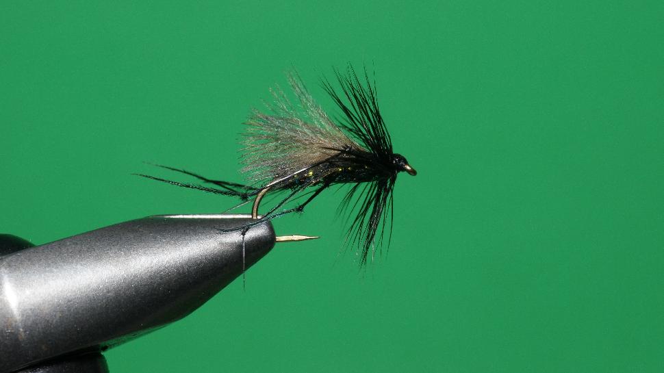 Step 7 tying instructions for the Bristol Hopper