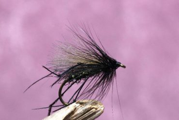 The Bristol Hopper