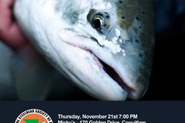 Coldwater River Habitat Restoration Project Fundraiser