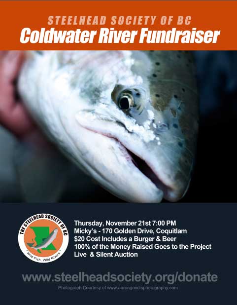 Coldwater River Habitat Restoration Project Fundraiser