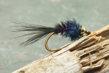 The Micro Leech
