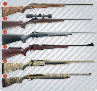 The Essential Gun Cabinet