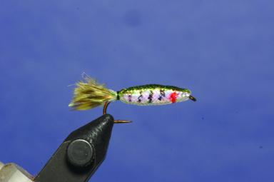 Step 5 tying instructions for the Foam Minnow