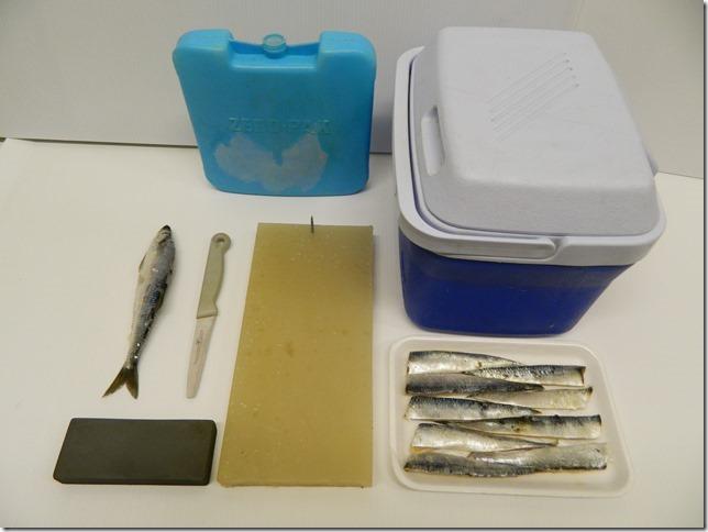 L to R: Herring, Henckels knife, Oil stone, cutting board. Standard six-pack beer cooler and ice pack and a finished tray of strip. Via Tom Davis.