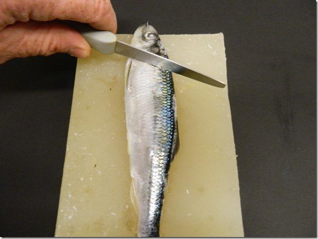 Step 1 on cutting your own herring strip