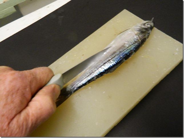 Step 3 on cutting your own herring strip