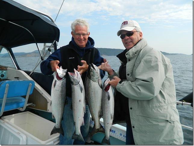 Coho caught on herring strip