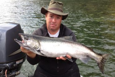 Chrome Stamp River Chinook Salmon