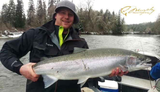 Lunker Stamp River Steelhead