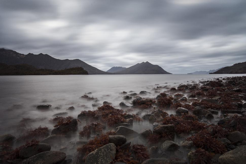 Misty landscape