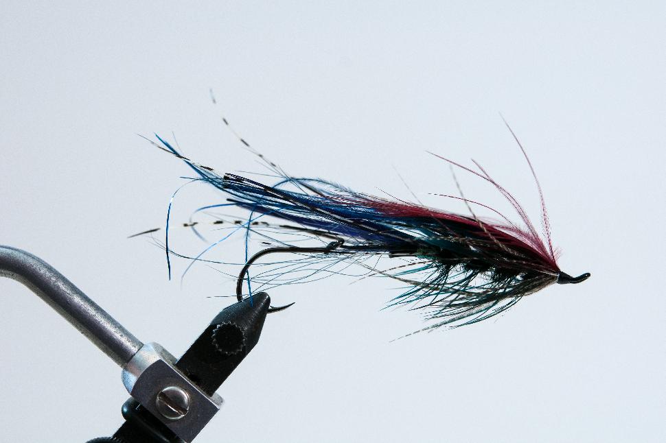 Aaron's "Intruder-style" Steelhead GP