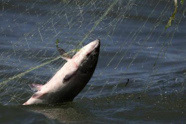 Darryl Dyck/The Globe and Mail