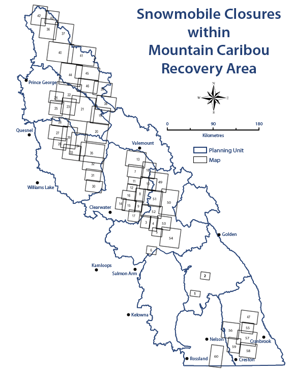 Snowmobile Use within Caribou Recovery Area