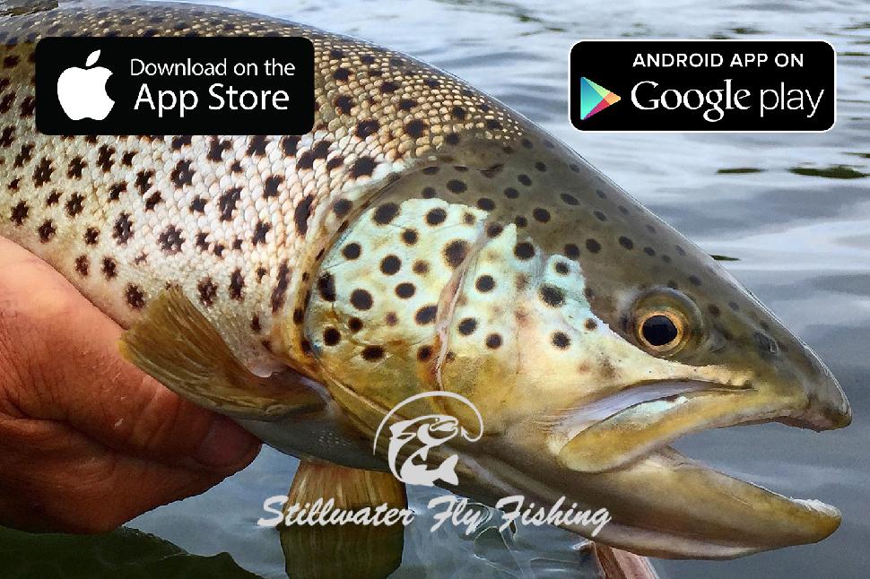 Stillwater Fly Fishing App