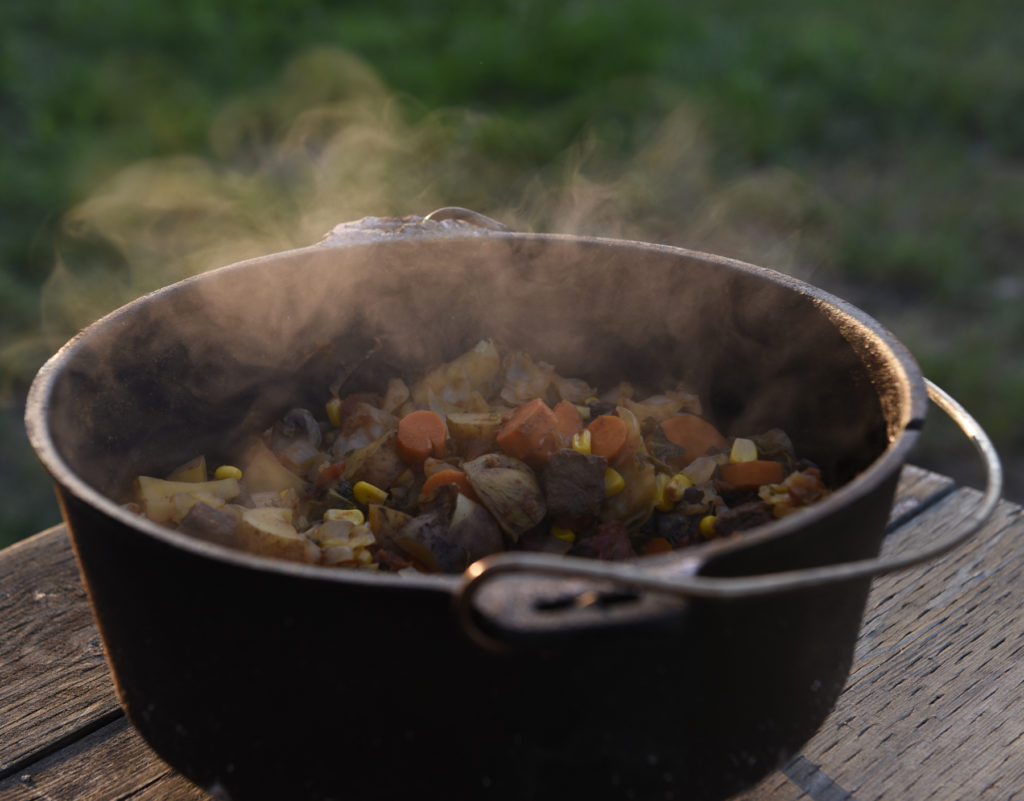 Venison stew