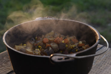 Venison stew