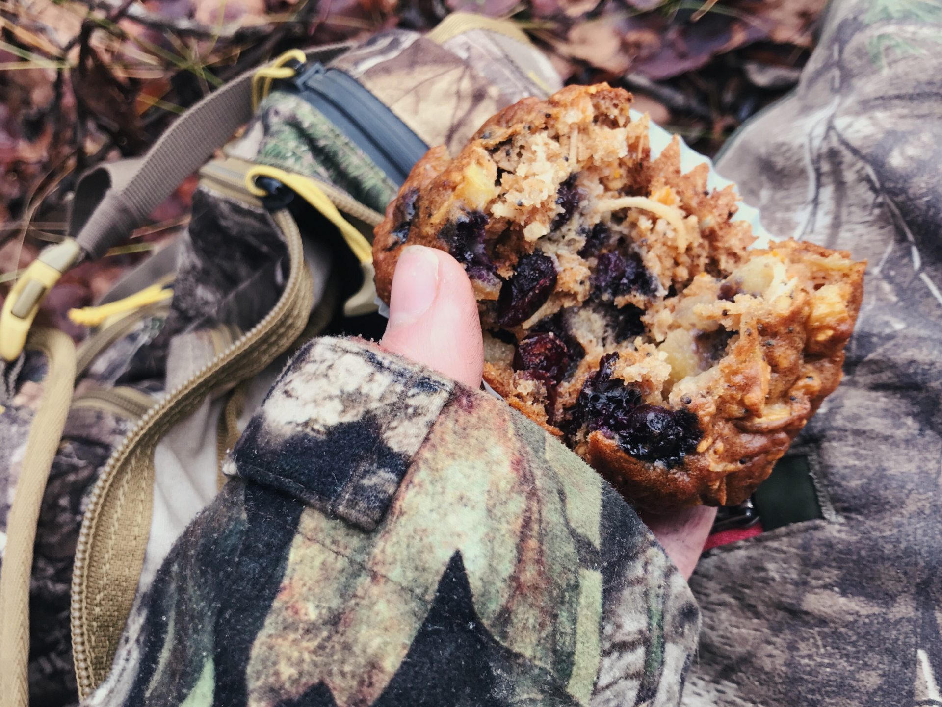 Berry Delicious Breakfast Muffins. Credit: Raeanne O’Meara.