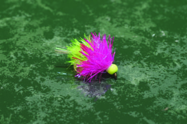 Matt's Pink Dancer