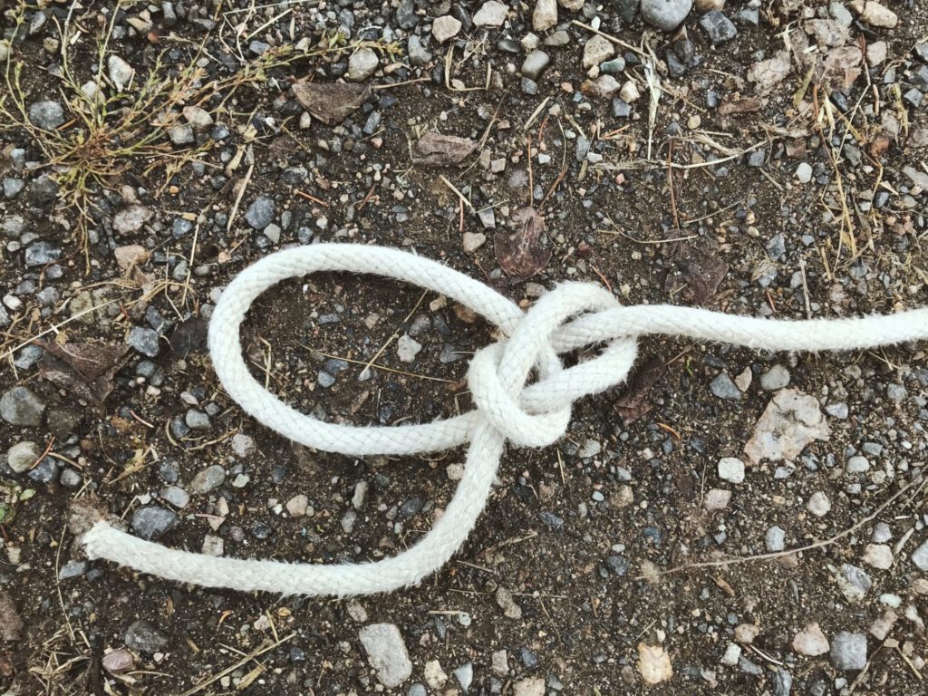 Bowline knot. Credit: Raeanne O’Meara.