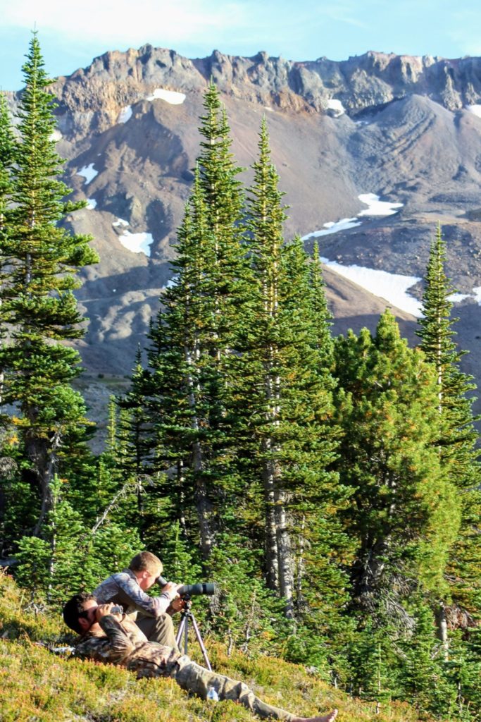 Successful glassing takes patience, and knowing what to look for. Photo by Sylvia Dekker.