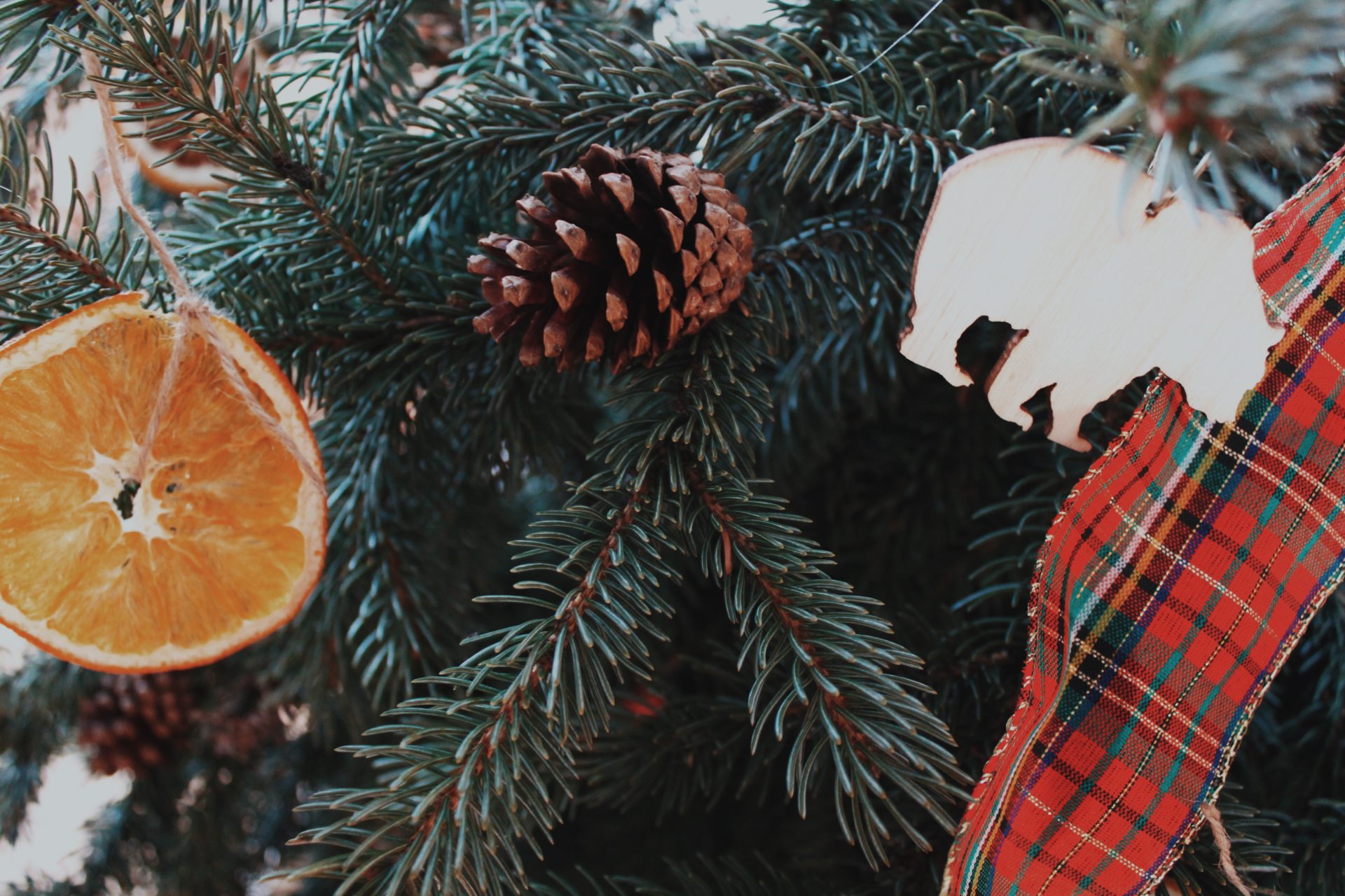 How To Make A Foraged Evergreen Swag • BC Outdoors Magazine