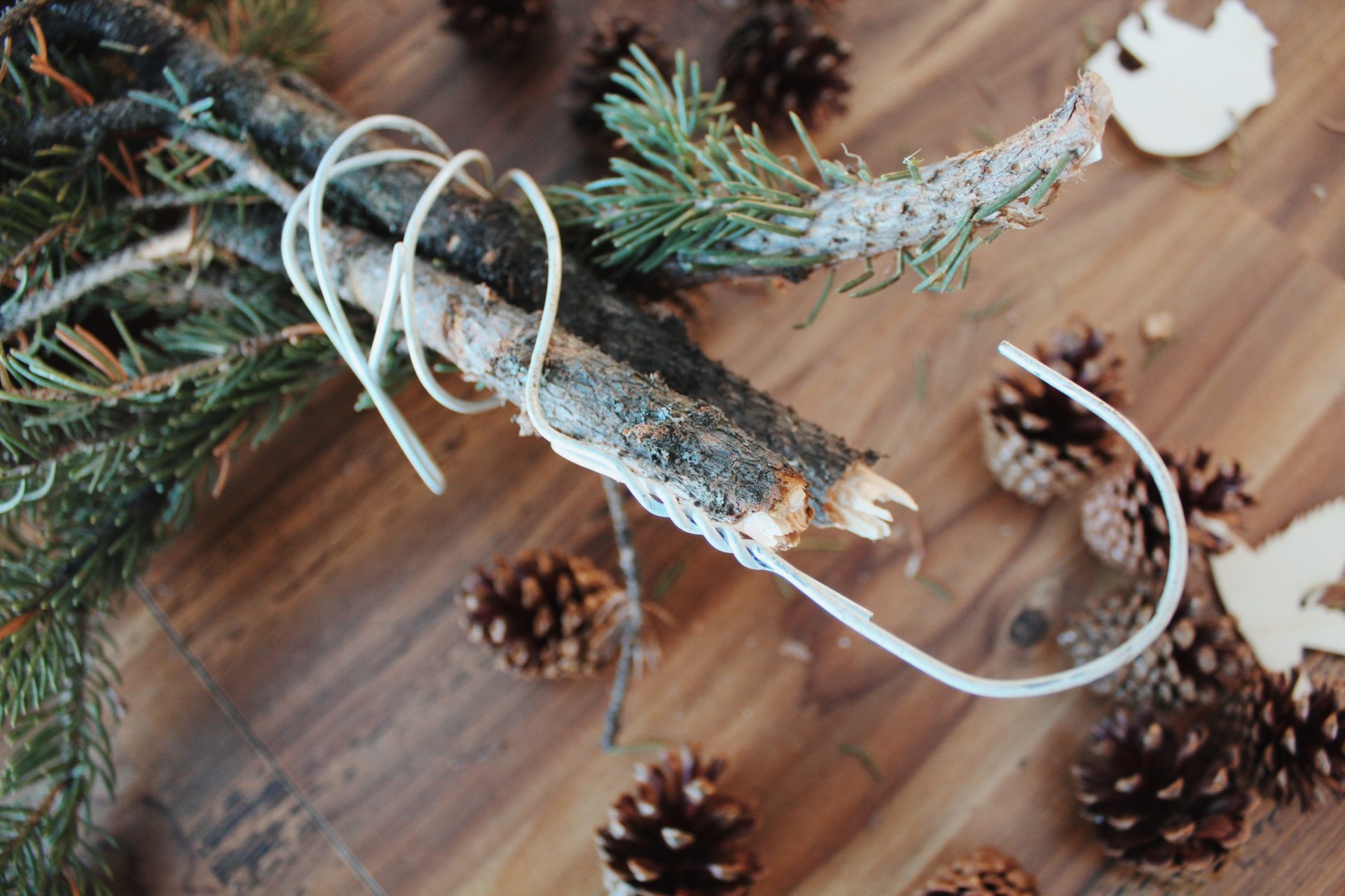 How To Make A Foraged Evergreen Swag • BC Outdoors Magazine