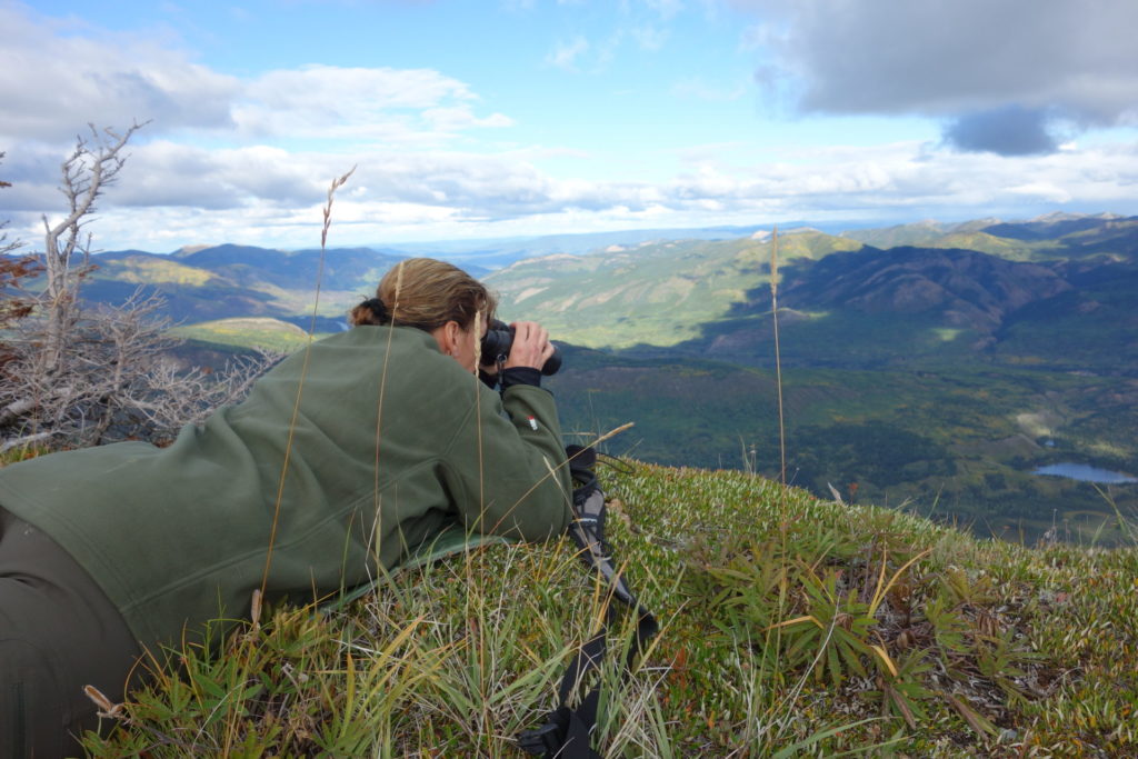 The writer glassing for goats below.