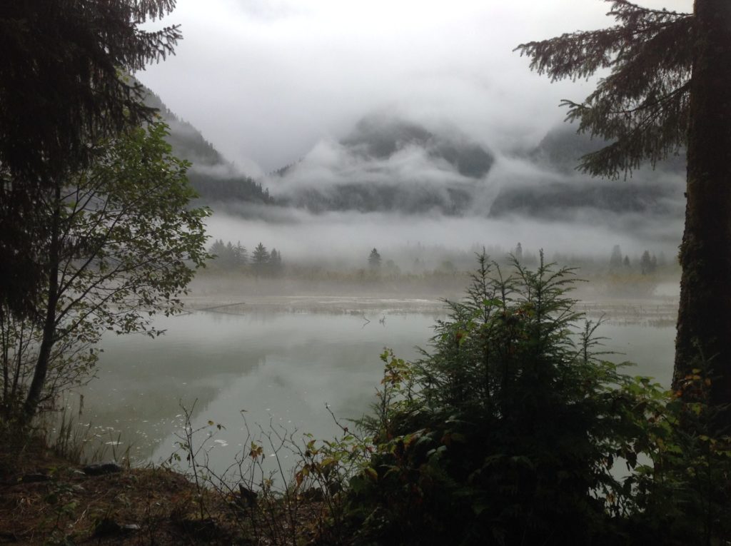 Relentless fog and rain meant the goats won again.