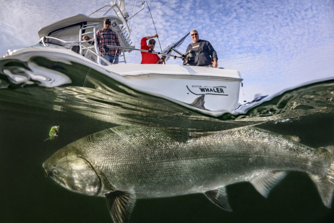 nootka island fishing in august