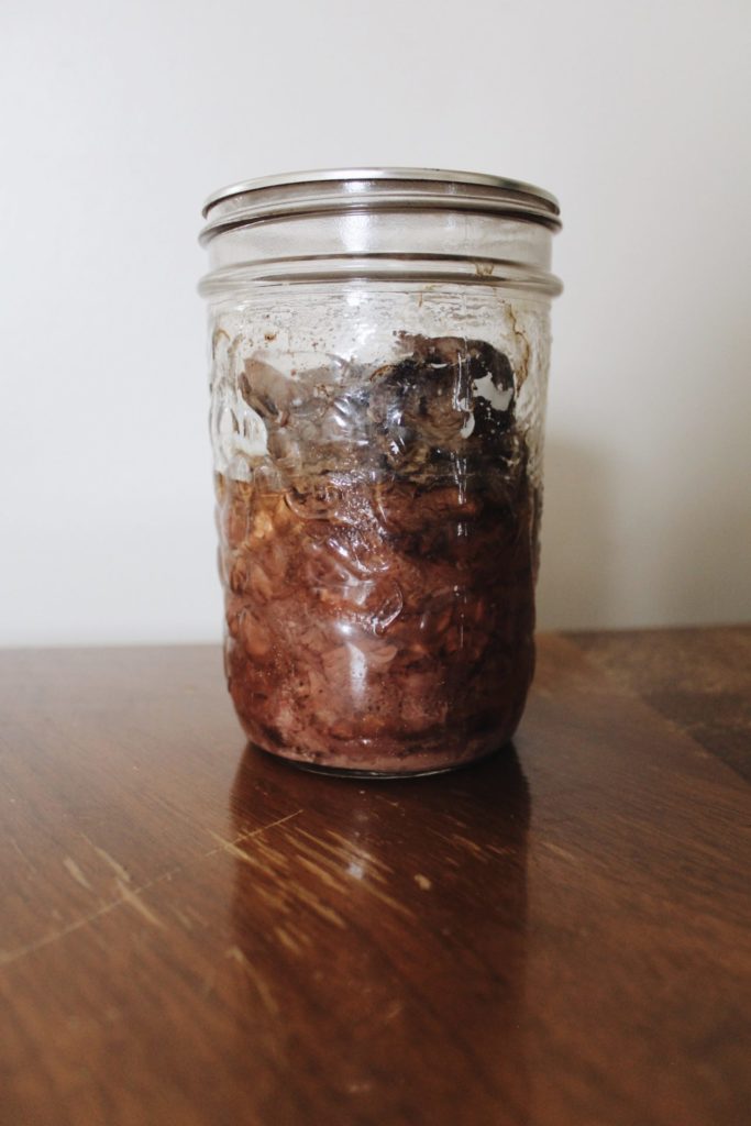 Canned moose meat. Credit: Raeanne O’Meara.