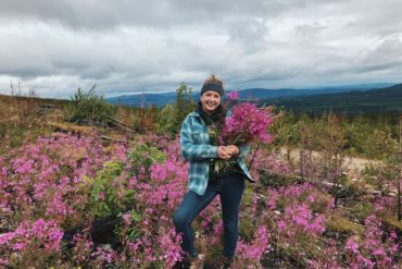 The author harvesting fireweed for tea and jelly in an old burn.