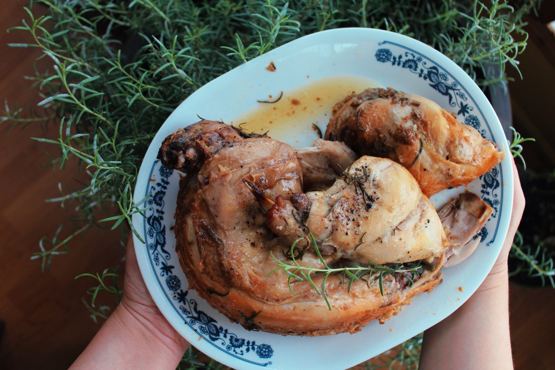 Honey Rosemary Baked Rabbit • BC Outdoors Magazine