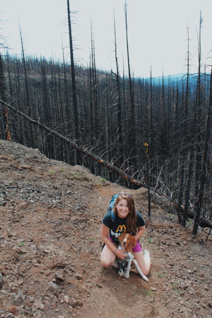 Hiking through an old burn.