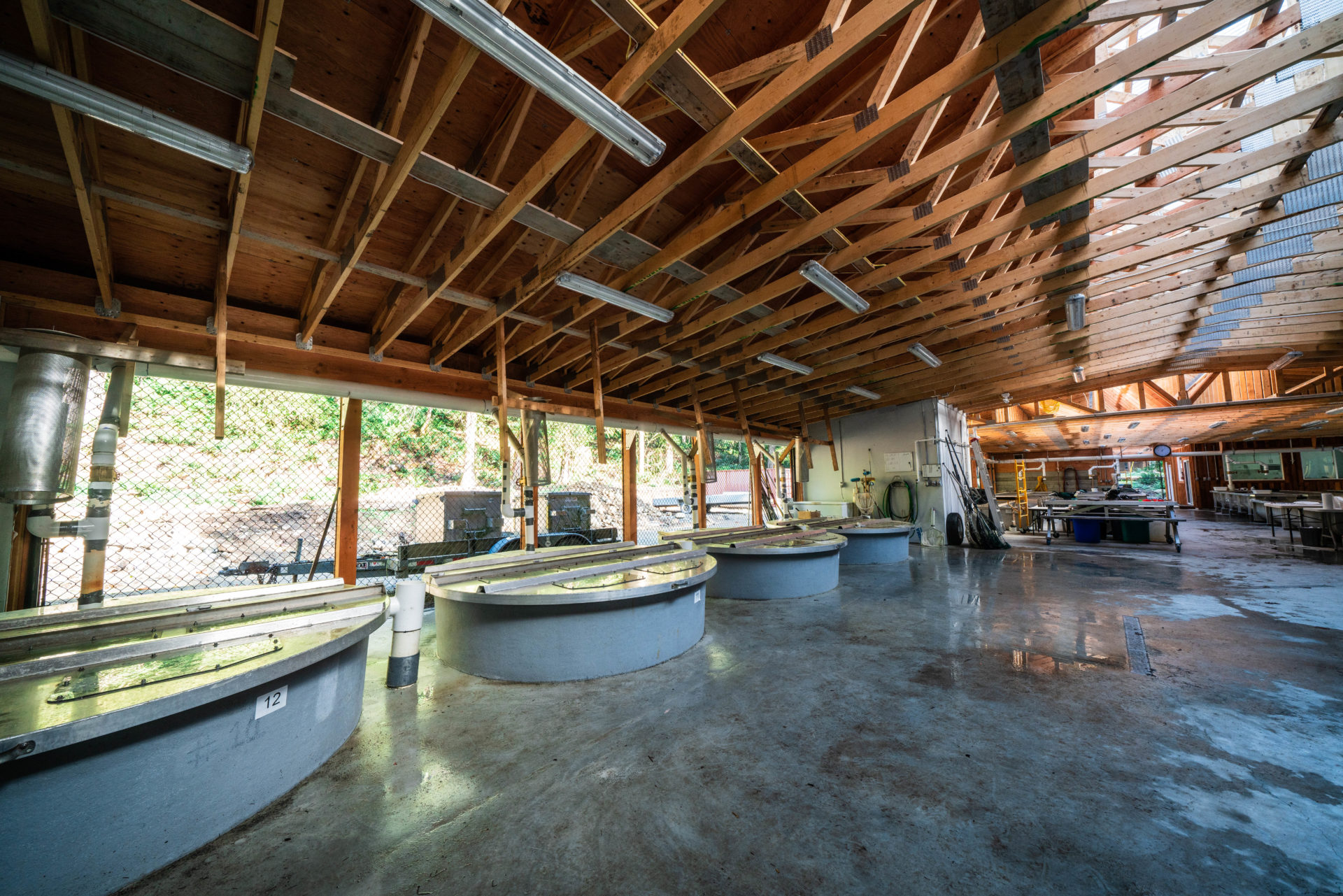 These tanks hold live fish for use by the hatchery. Photo by Chase White.