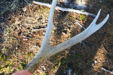 First shed. Credit: Raeanne O’Meara.