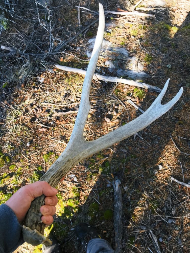 First shed. Credit: Raeanne O’Meara.