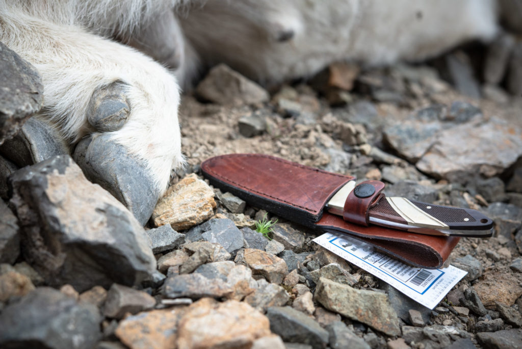 How to Sharpen A Hunting Knife 