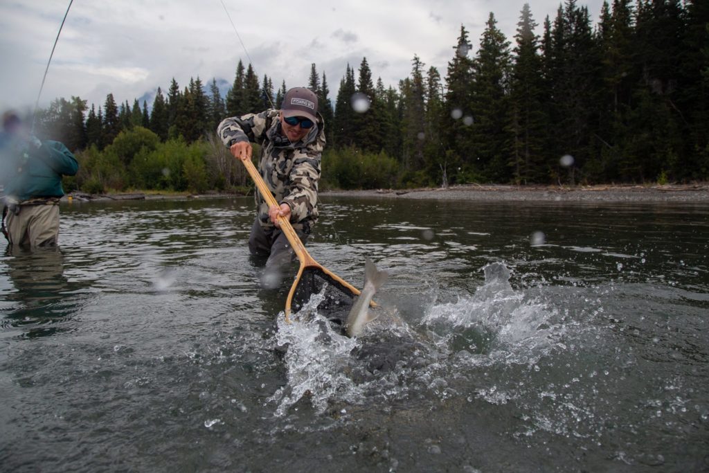 Aggressive, beautiful and different from other trout, bulls are a great species to target with flies.