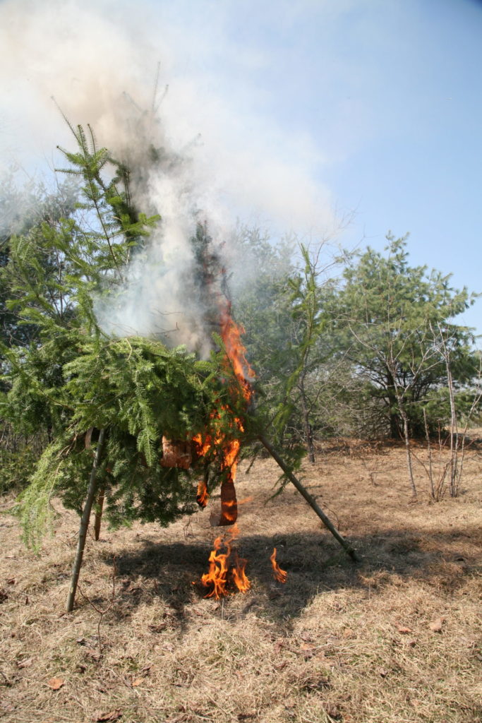 Burning fresh (green) brush can cause a lot of smoke and attract attention when you need it the most.