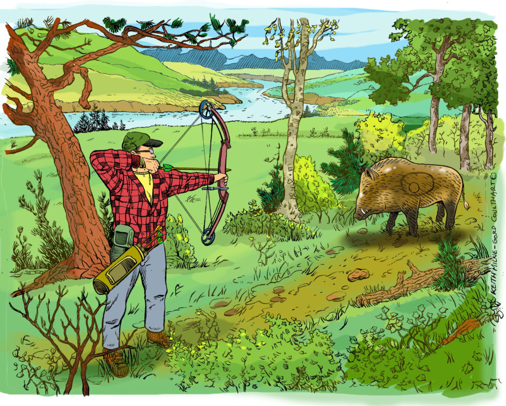 3D shoots are great fun for the whole family, and an excellent way to keep your archery skills sharp for hunting season. Illustration by Keith Milne.