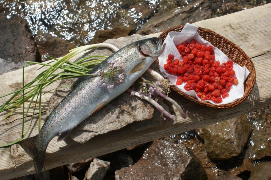 Trout With Wild Onion Stuffing & Raspberry Sauce