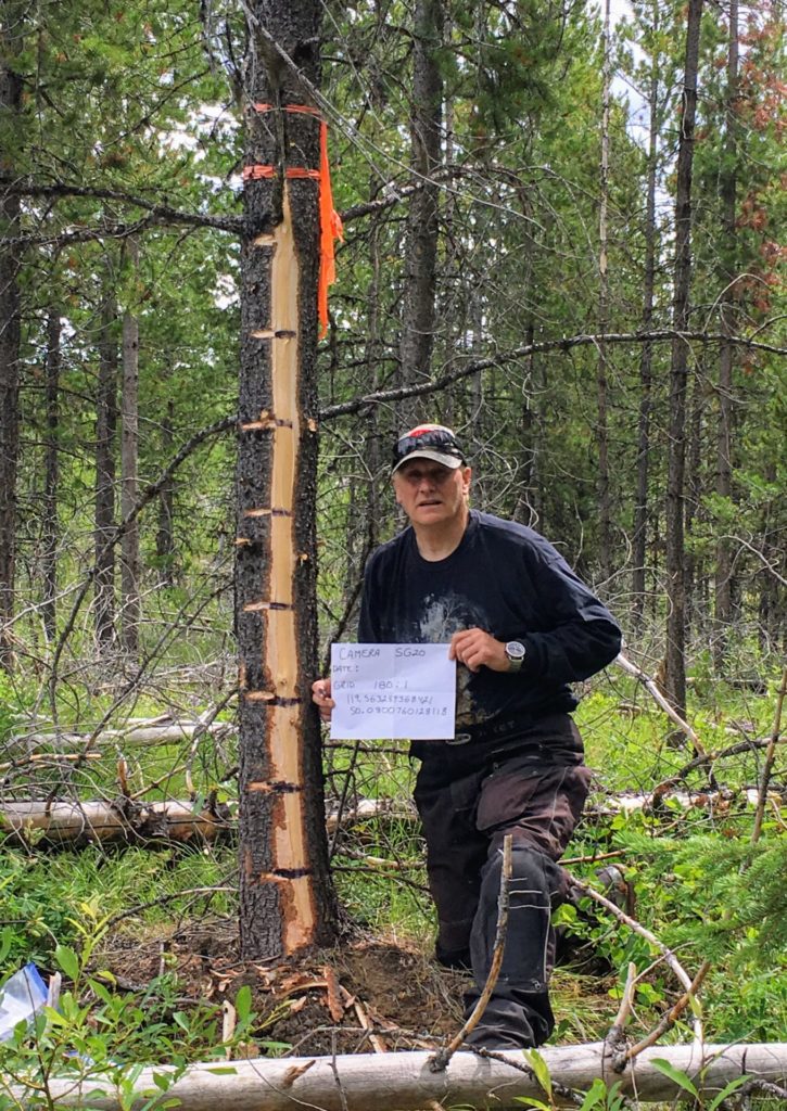 Studying the mule deer from trail camera footage is an integral part of the research.