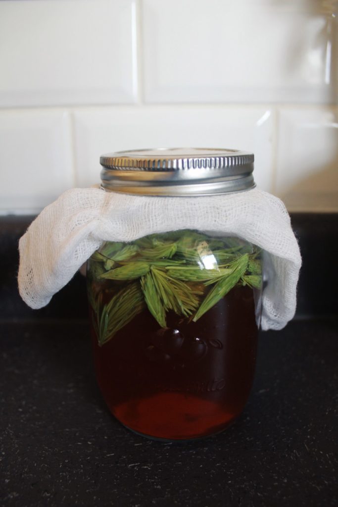 Spruce infused vinegar. Credit: Raeanne O’Meara.