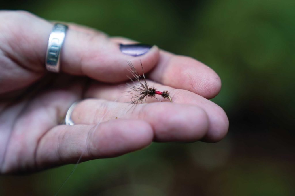 In tenkara fishing, the fly is called the kebari. Photo by Chase White.