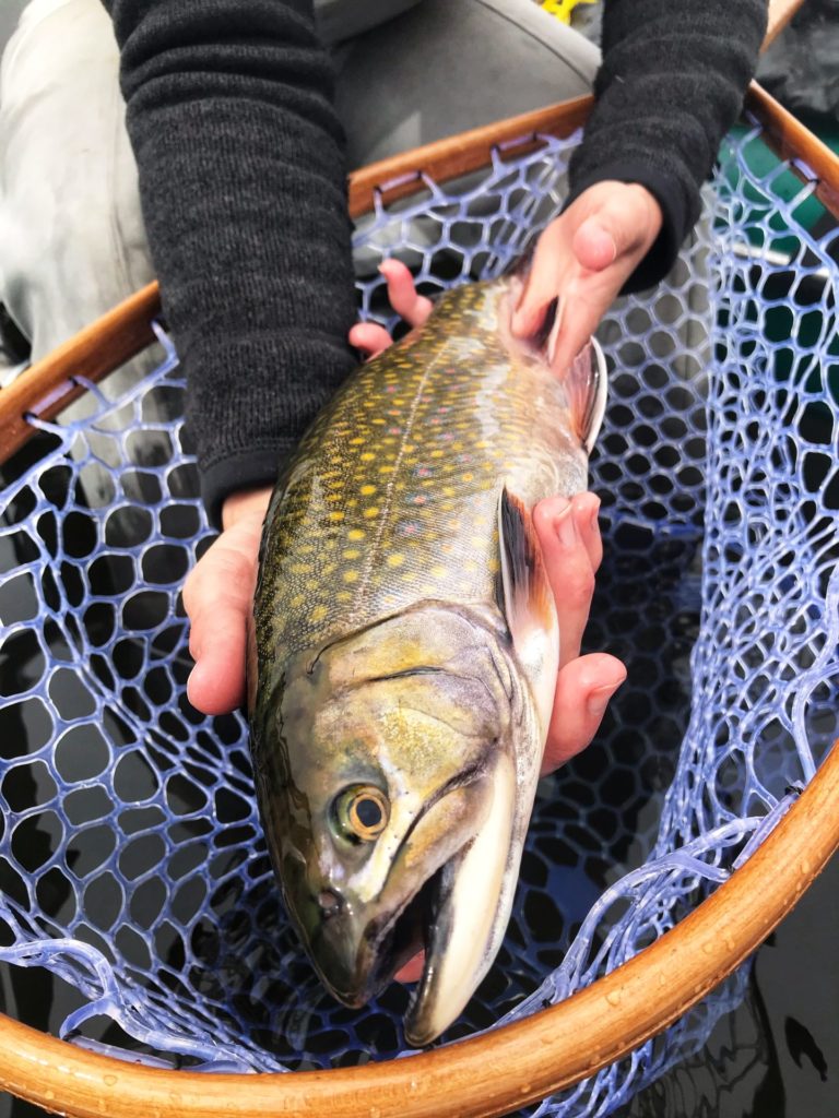 Trout fishers in BC have to be capable of handling change and be willing to adapt when necessary.